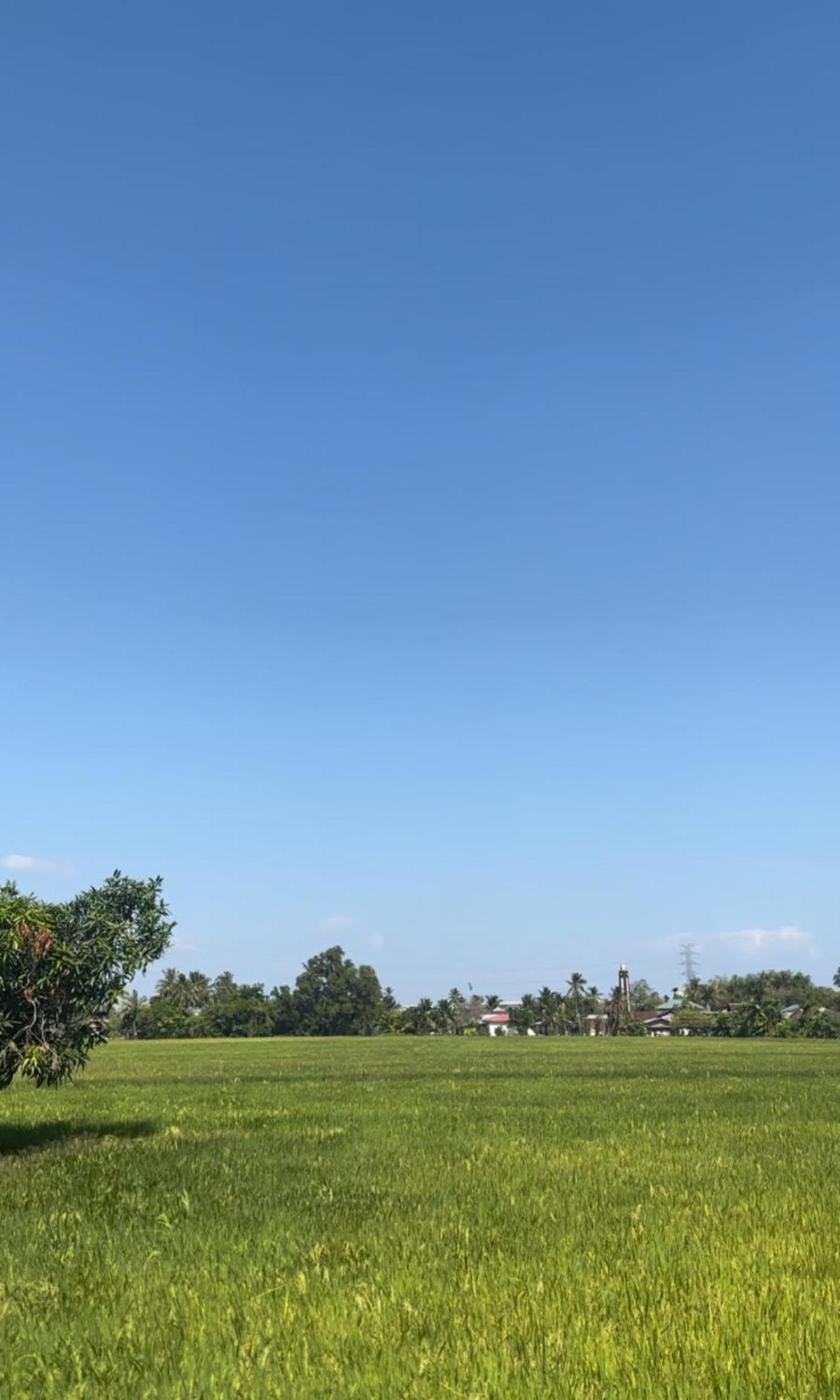 Sunrise Homestay Alor Setar Exterior photo